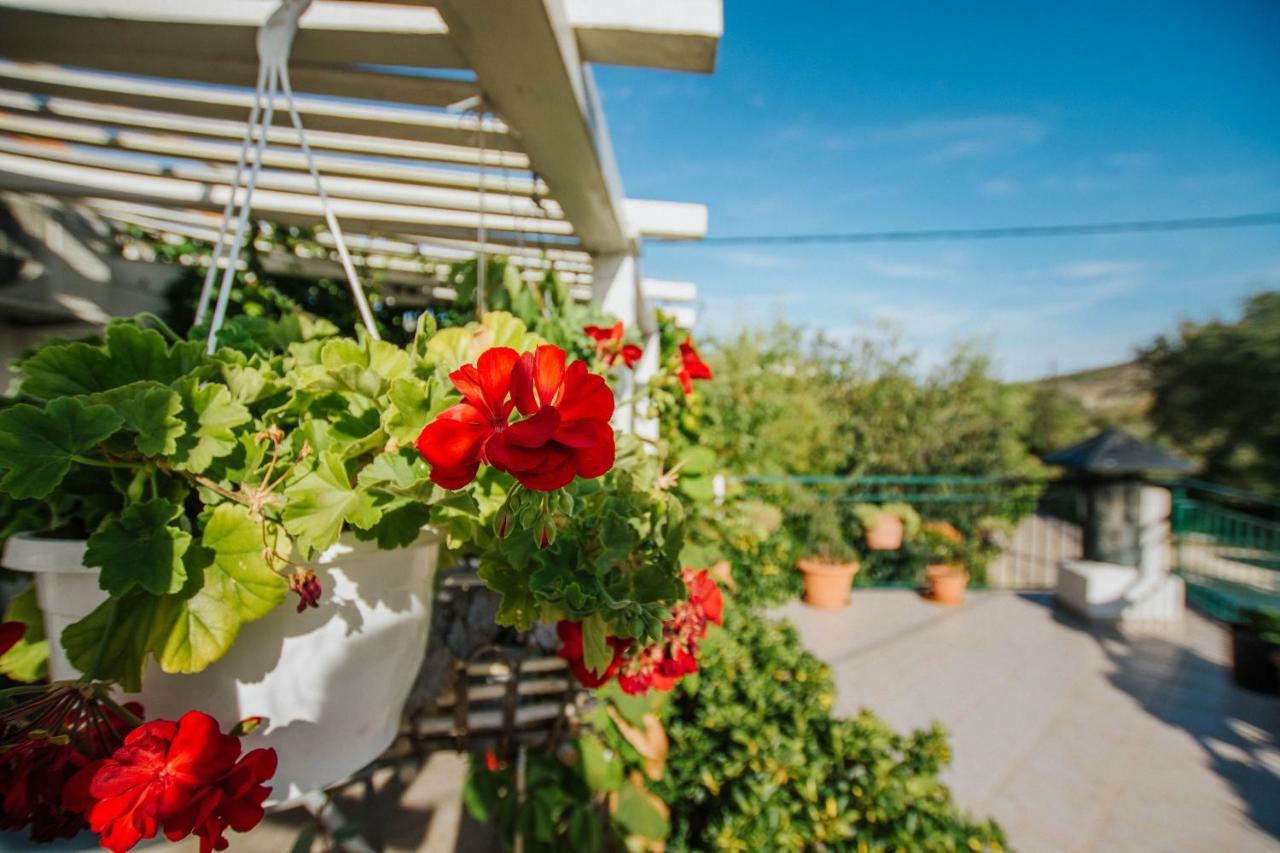 Country House Rusula Vrsine المظهر الخارجي الصورة